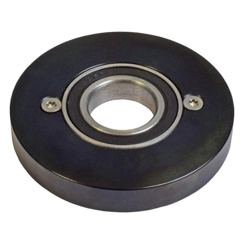 IGM Guide Bearing