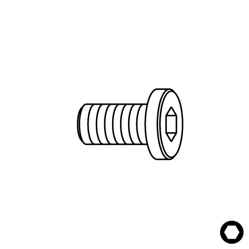 IGM Screw - M4x6 mm for F612